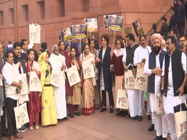 Congree MPs including Priyanka Gandhi Vadra protesting in Parliament Premise (Photo/ANI)