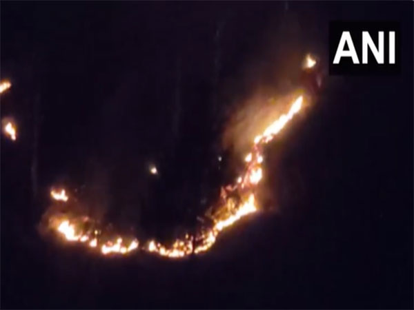 Visuals from fire broke out in Chenab valley in Jammu and Kashmir (Photo/ANI)