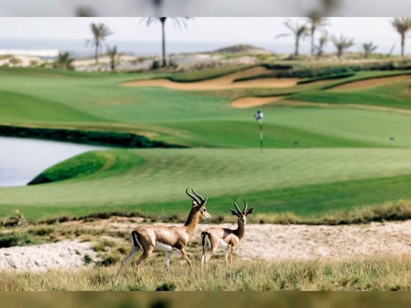 UAE prioritises eco-tourism with initiatives promoting sustainability. (Photo: WAM)