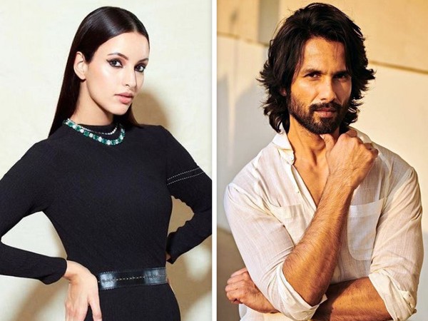 Actors Shahid Kapoor and Triptii Dimri (Image source: X)