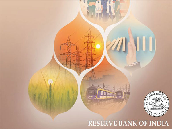 Screen shot from RBI report (Image: RBI report)
