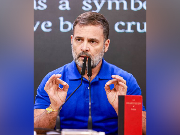 Lok Sabha Leader of Opposition and Congress leader Rahul Gandhi (Photo/ANI)