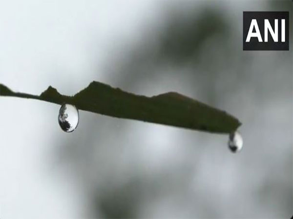 Cold wave engulfs Mayurbhanj as the temperature dips in the city