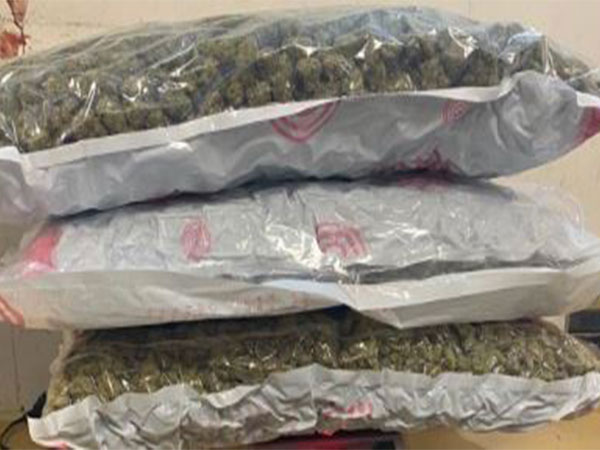 Mumbai Customs seizes marijuana worth over Rs 11 crore at CSMI airport (Photo/ANI)