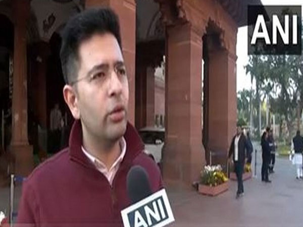 AAP MP Raghav Chadha (Photo/ANI)