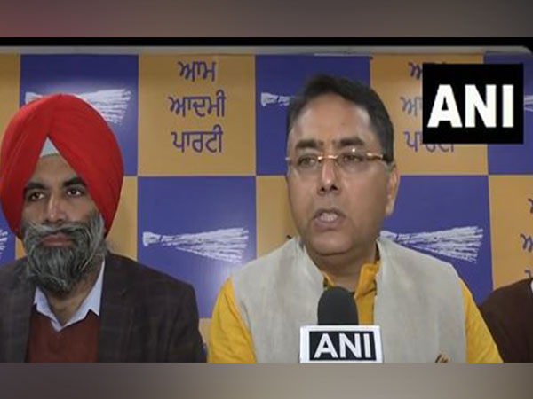 The Aam Admi Party chief of Punjab unit Aman Arora (Photo/ANI)