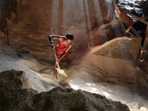 Representative Image (Pexels.com)