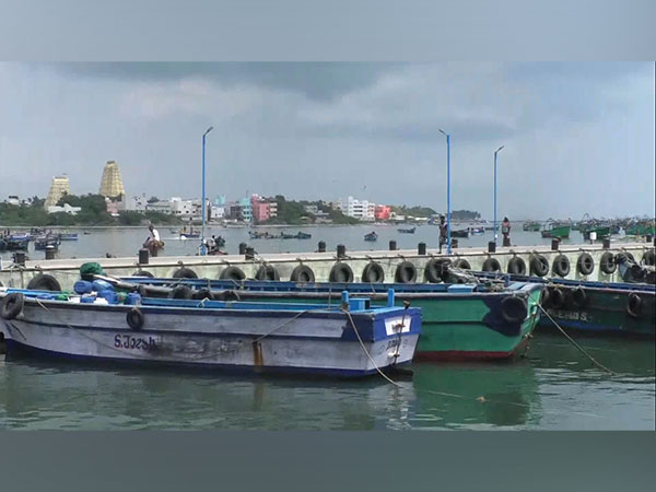 Boats in Rameswaram (Image/ANI)