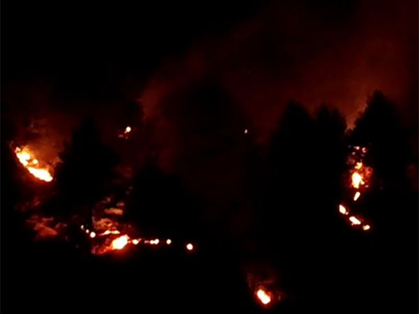 Forest fire broke out in Bhalessa. (Photo/ANI)