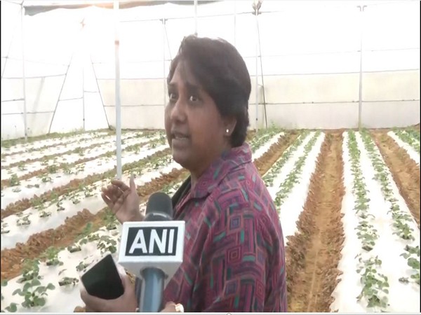Sagarika Bhattacharjee, Assistant Director of the State Horticulture Research Center, Agartala (Photo/ANI)