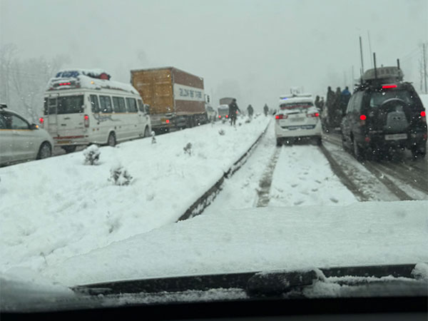 Vehicles stuck near Qazigund town following snowfall in Jammu and Kashmir (Pic/@OmarAbdullah)