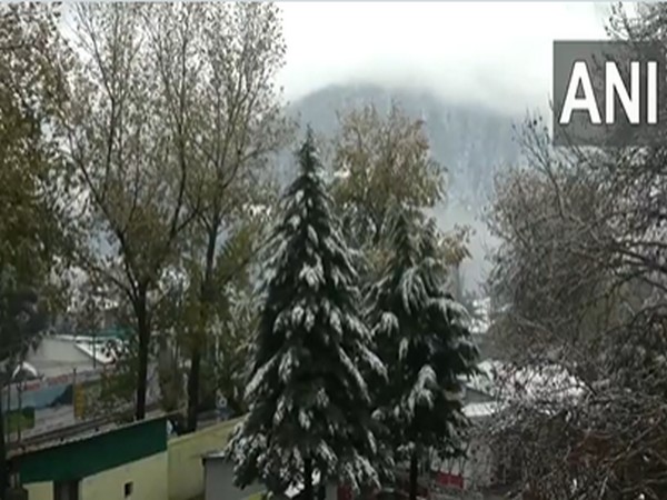 Srinagar receives heavy snowfall on Saturday. (Photo/ANI)