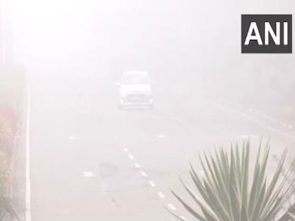  Dense fog blankets Chandigarh city on Sunday morning (Photo/ANI)