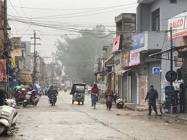 Punjab's Jalandhar experiences chilly weather with dense fog (Photo/ANI)