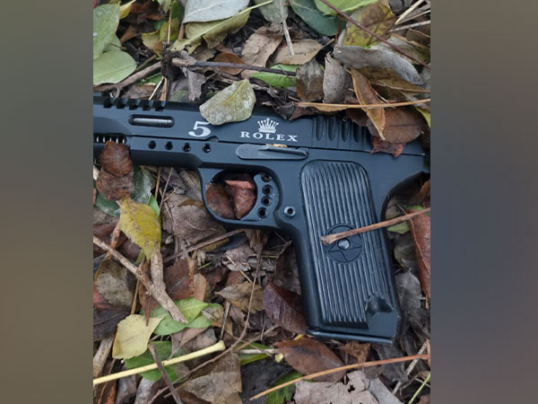 Pistols recovered by Punjab police. (Photo/ANI)