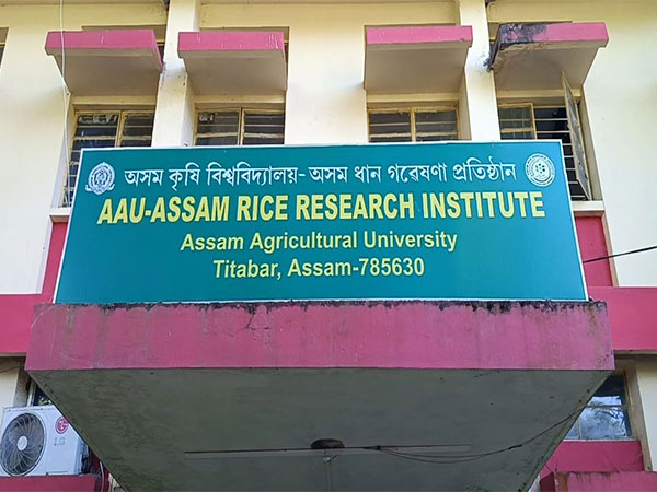 Assam Rice Research Institute (Photo/ANI)