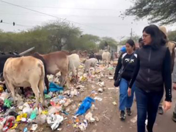 Rajya Sabha MP Swati Maliwal in Delhi's Sangam Vihar (Photo/Swati Maliwal's X)