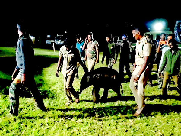 Elephant calf rescued by Forest Department (Photo/ANI)