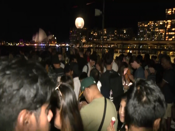 Celebrations at Opera House (Image/ANI)