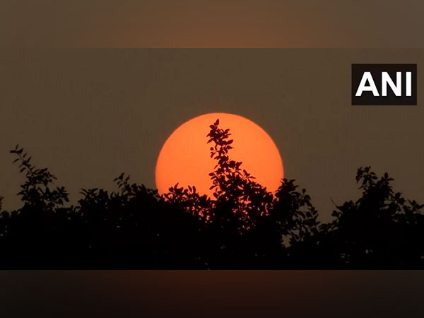 Last sunset of 2024 captured in Odisha (Photo/ANI)