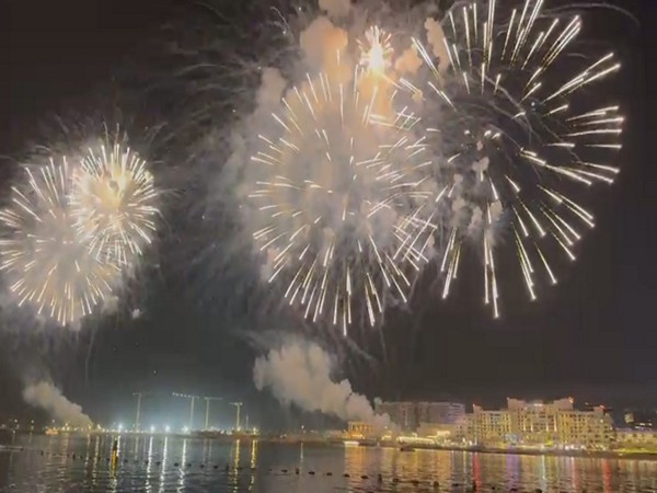 Fireworks at Al Raha beach, Abu Dhabi (Image/ANI)