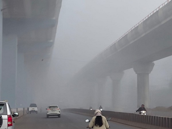 Dense fog in Bhopal (Photo/ANI)