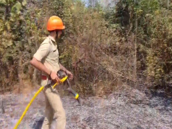 Fire services extinguishing fire at cashew orchard in Kannur (Photo/ANI)
