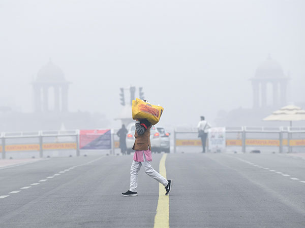  A man makes his way along the Kartavya Path through dense fog on a cold winter morning, in New Delhi (Photo/ANI)