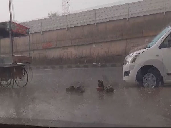New Delhi received rains in several parts (Photo/ANI)