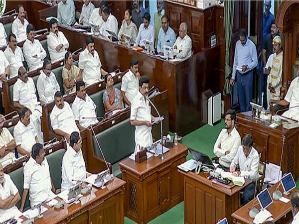 Visuals from inside the Tamil Nadu Assembly. (File Photo/ANI)