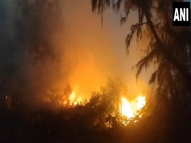 Fire breaks out in a forest in Ratnapur village of Porbandar (Photo:ANI)