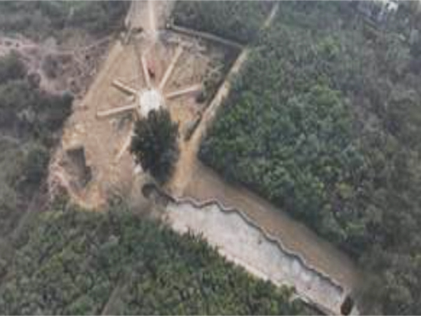 Visuals of dense forests created in Prayagraj (Photo/PIB)