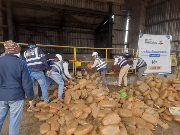 Seized intoxicants being disposed of (Photo/NCB Indore) 