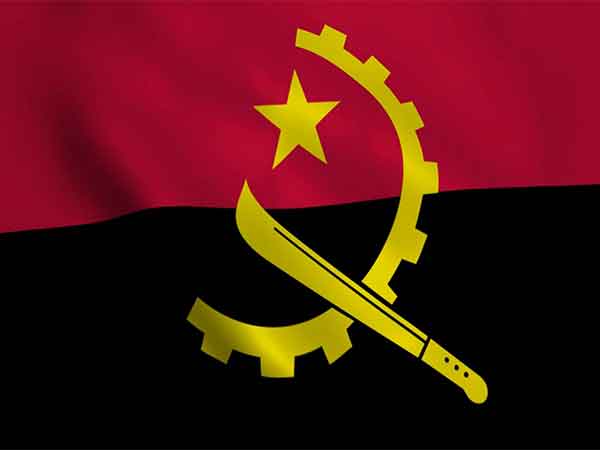 Representative Image (photo/ pexels)