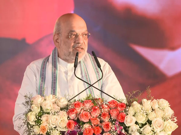 Union Home Minister Amit Shah at the convention (Photo/ANI)