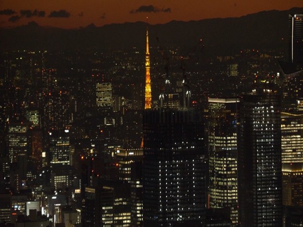 Tokyo's modern life (Photo/ANI)