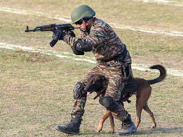 Visual of Army personnel (Photo/ANI)