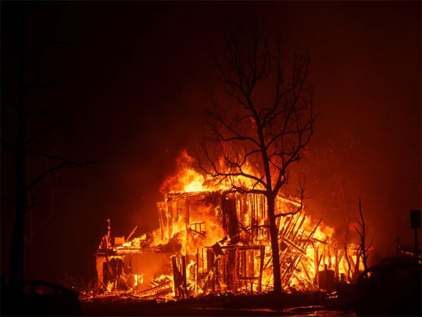 LA wildfires (File photo: Reuters)