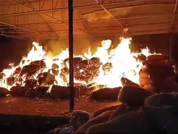 Visuals from the spot (Photo/Screengrab of Viral Video) 