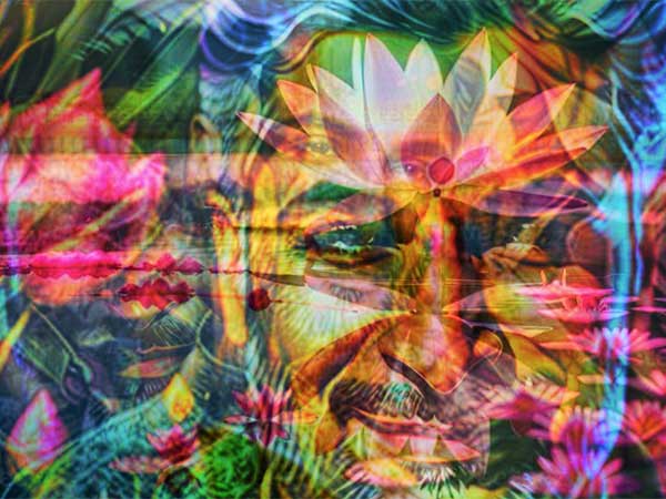 Artwork by Suvir Saran