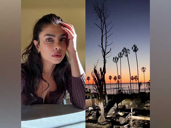 Priyanka Chopra and a glimpse of LA Wildfires (Image source: @priyankachopra)