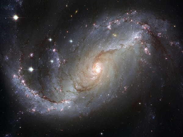 Representative Image (Image source: Pexels) 