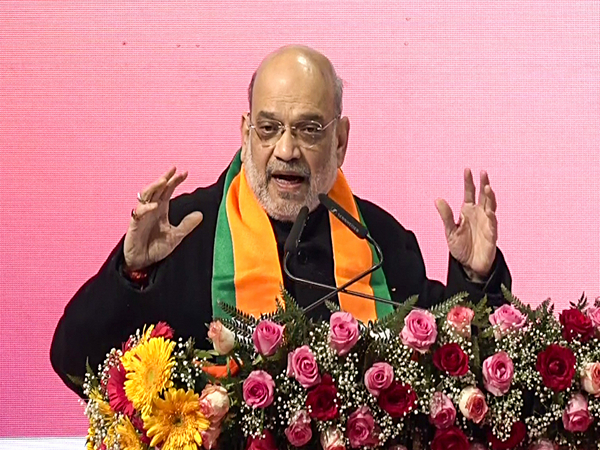 Union Home Minister Amit Shah (File Photo/ANI)