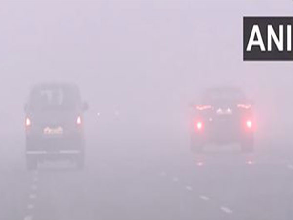 Dense fog blankets the DND (Delhi-Noida Direct) flyway area on Sunday morning (Photo/ANI)