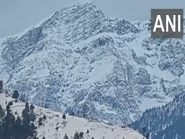 Fresh spell of snowfall in Doda (Photo/ANI) 