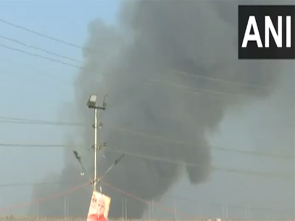 Visuals of the fire (Photo/ANI)