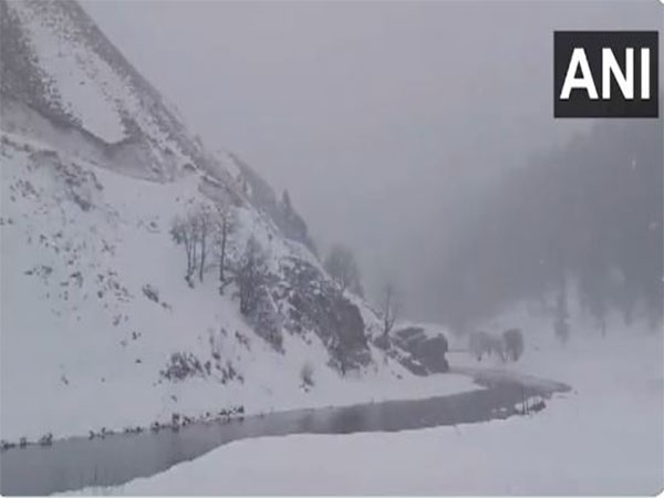 Bandipora receives fresh snowfall on Sunday. (Photo/ANI)