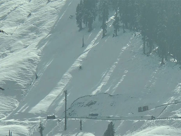 Bhaderwah covered in a thick blanket of snow (Photo/ANI)  