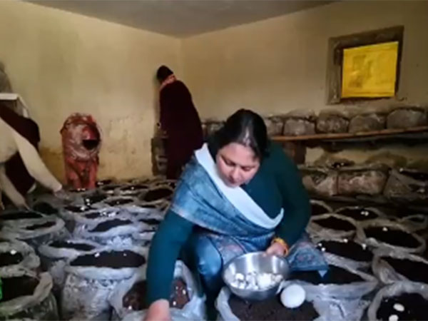 A photo of the women in Reasi practicing mushroom cultivation (Photo/ANI) 
