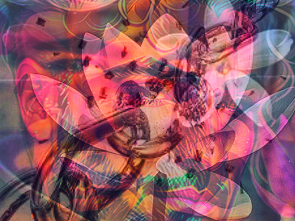 Artwork by Suvir Saran